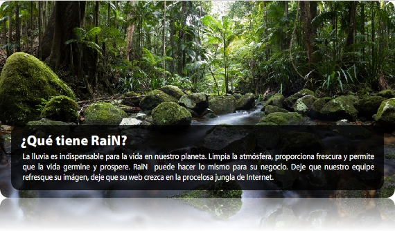 paginas web marbella